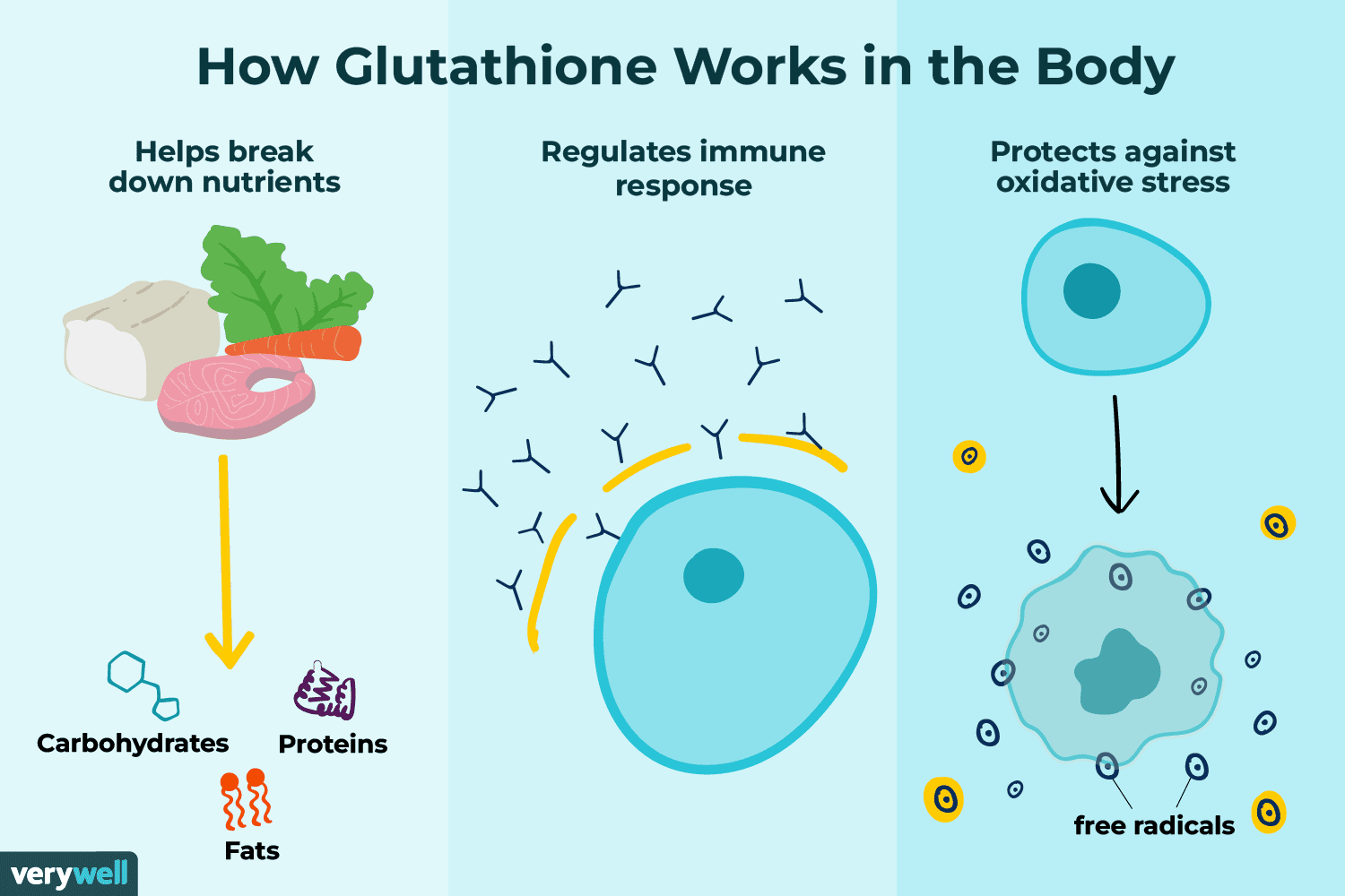 Glutathione vs Vitamin C: Which Antioxidant Is Better for Your Skin?