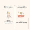 Ceramides vs Peptides: Which One is Best for Your Skin?