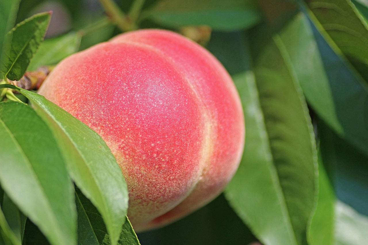 Dark Spots on Buttocks: What Causes Them & How to Treat Safely