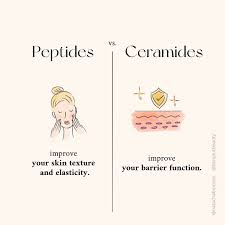 Ceramides vs Peptides: Which One is Best for Your Skin?