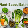 The Rise of Plant-Based Diets and Meat Alternatives: A Comprehensive Guide for Beginners