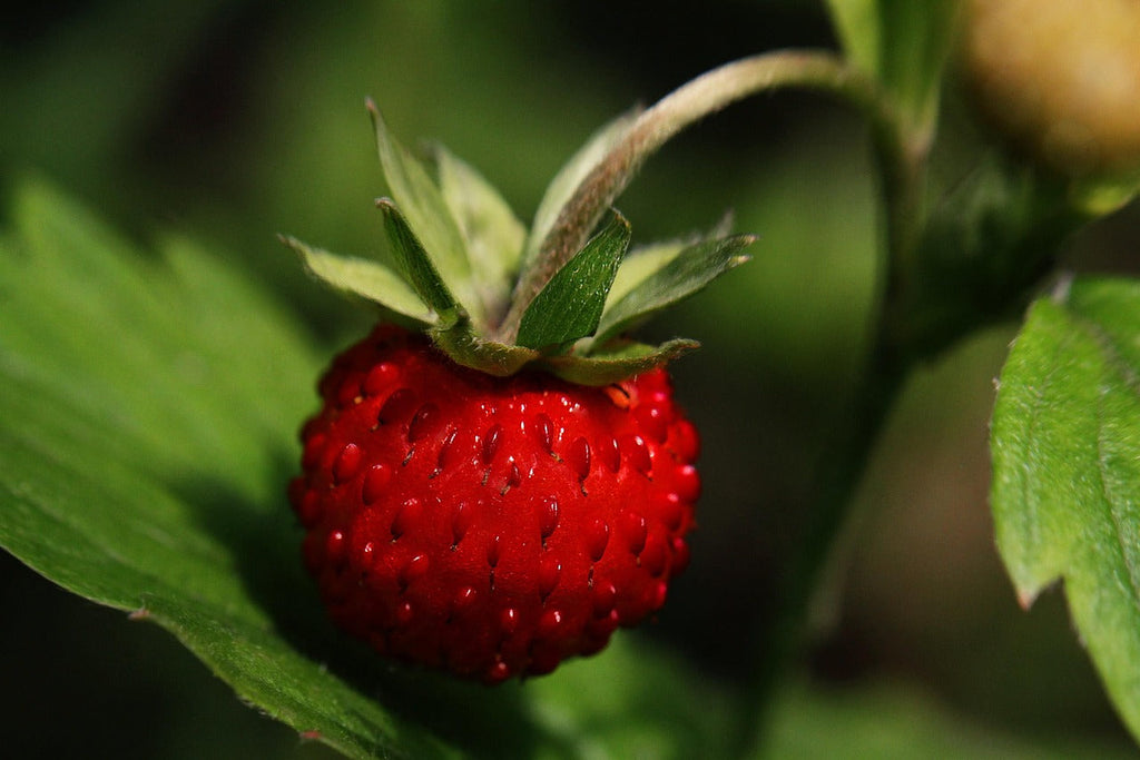 Can Retinol Help with Body Acne and Strawberry Legs? Here’s the Truth