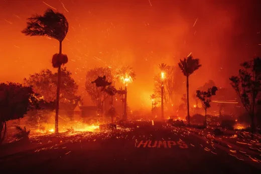 Devastating Wildfires in Southern California: What You Need to Know